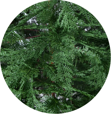 70 Inch Artificial Cypress Christmas Tree Green，Spruce Artificial Holiday Christmas Tree for Home, Office, Party Decoration w/ Easy Assembly, Fraser Fir Blue-Green Needles Tree, Classical Balsam Fir Tree for Christmas,