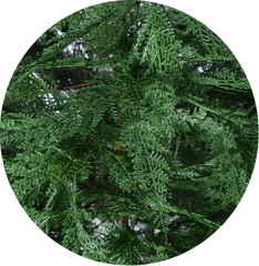 70 Inch Artificial Cypress Christmas Tree Green，Spruce Artificial Holiday Christmas Tree for Home, Office, Party Decoration w/ Easy Assembly, Fraser Fir Blue-Green Needles Tree, Classical Balsam Fir Tree for Christmas,